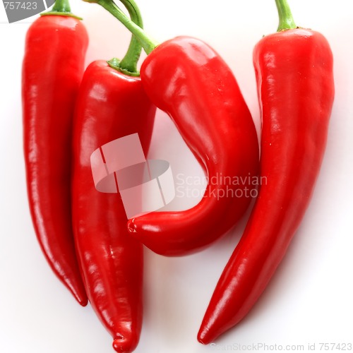 Image of Four peppers on light background