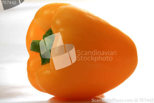 Image of Orange paprika