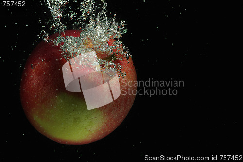 Image of Red apple in water