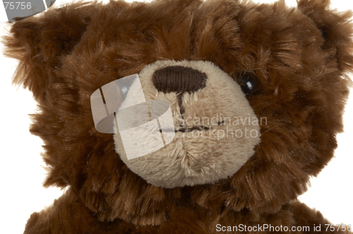 Image of Brown teddy bear