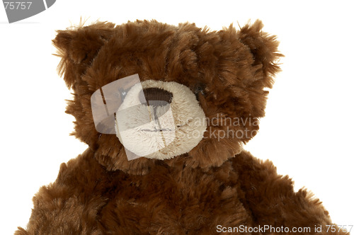 Image of Brown teddy bear