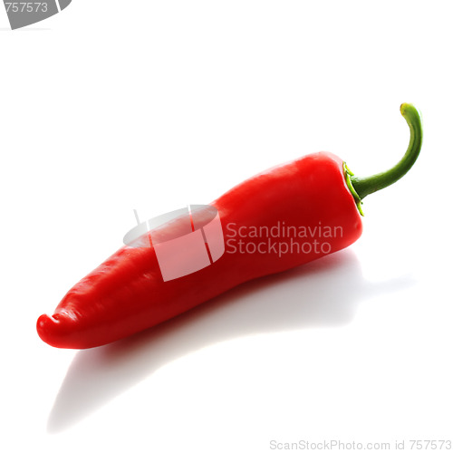 Image of Red pepper reflected on white