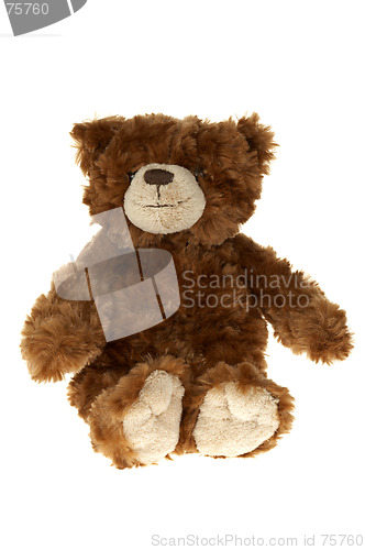 Image of Brown teddy bear