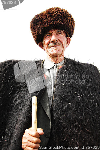 Image of Stately herdsman