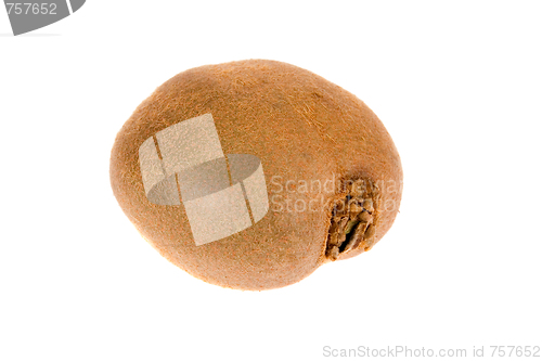 Image of kiwi