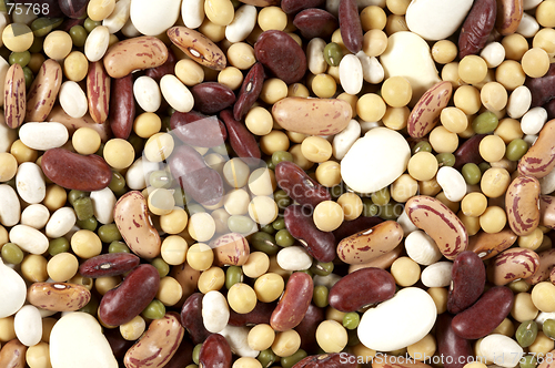 Image of Bean background