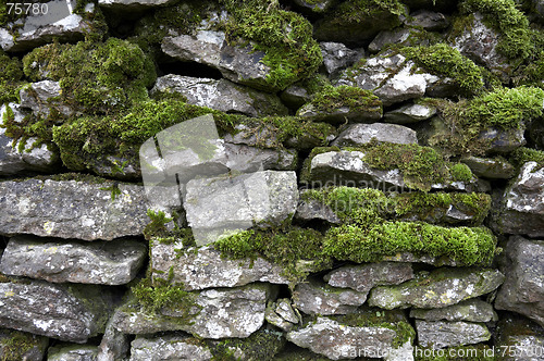 Image of Drystone wall detail