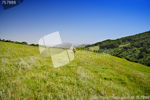 Image of Summer in mountains