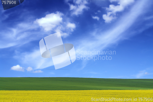 Image of spring landscape