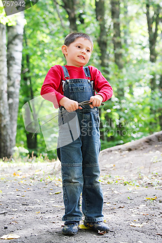 Image of Boy with brushwood