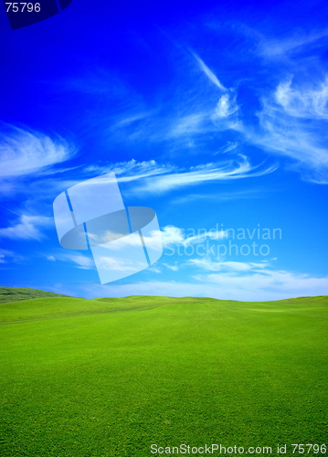 Image of green field