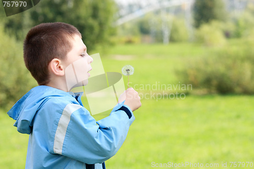 Image of Boy and dandelion