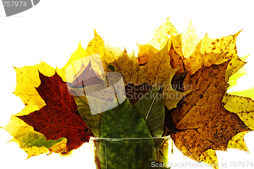 Image of Autumn bouquet