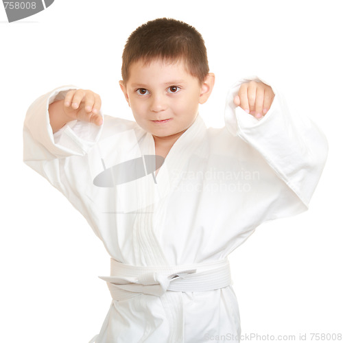 Image of Funny karate kid raising hands