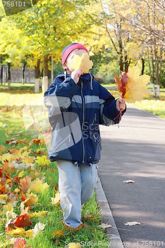 Image of Hiding face behing leaf