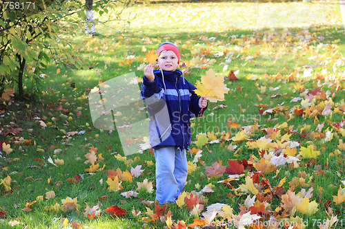 Image of Boy collecting leaves