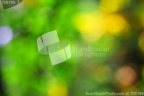 Image of Autumn blur