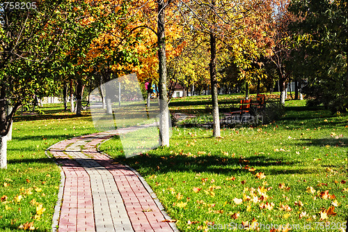 Image of Curved path in autumn park