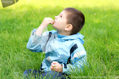 Image of Boy in meadow looking up