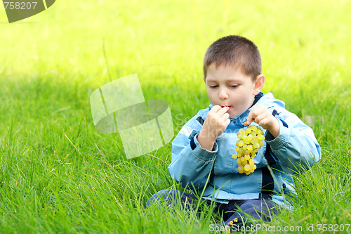 Image of Boy eats grapes in meadow