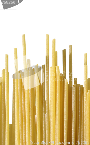 Image of Spagheti