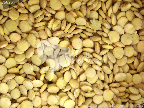 Image of Lentils