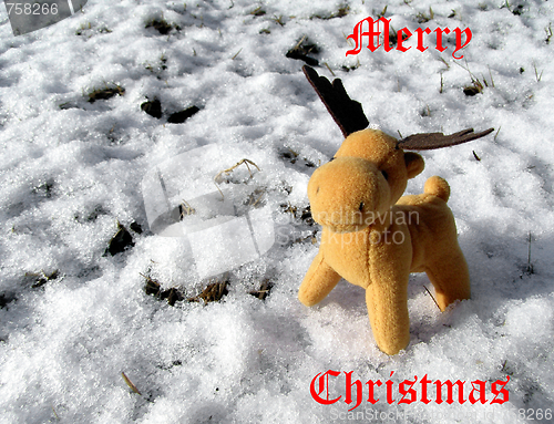 Image of Deer in snow greeting card