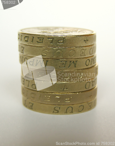 Image of Pounds