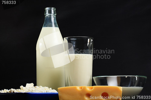 Image of Dairy