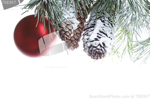 Image of Red ball and pine cones