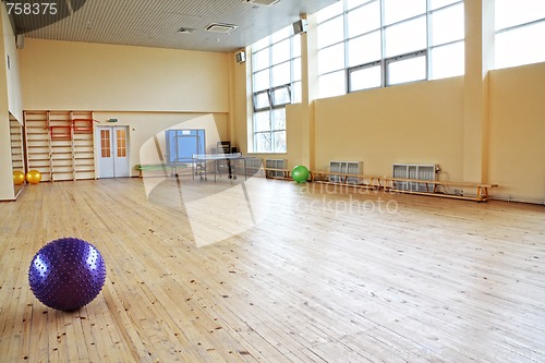 Image of Purple ball in empty gym