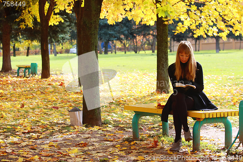 Image of Park in fall