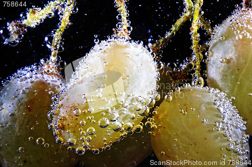 Image of Grapes in bubbles