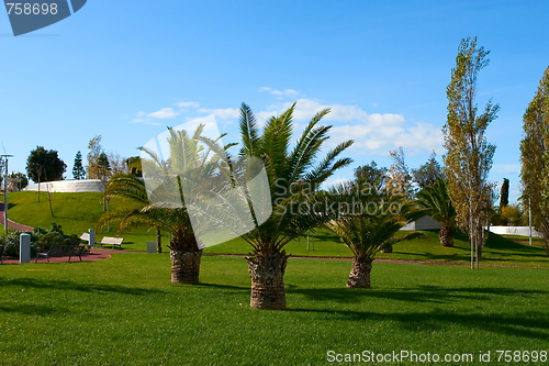 Image of A city park with trees