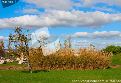 Image of A city park with trees