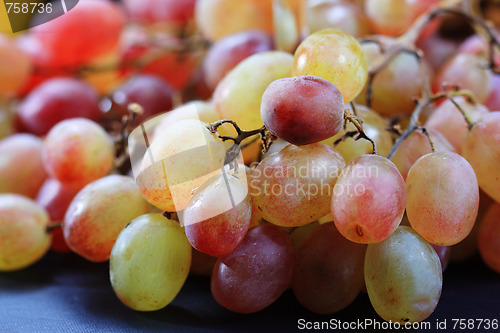 Image of Grapes
