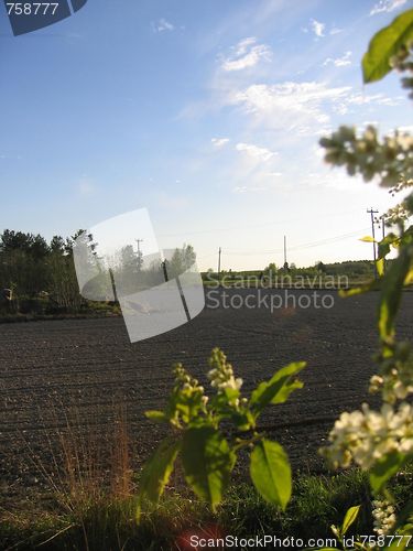 Image of spring sowing