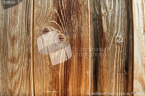 Image of Wood