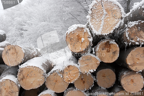 Image of Logs