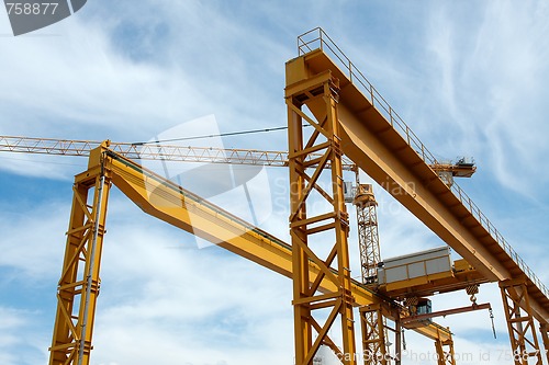 Image of Cranes