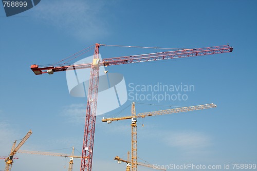 Image of Cranes