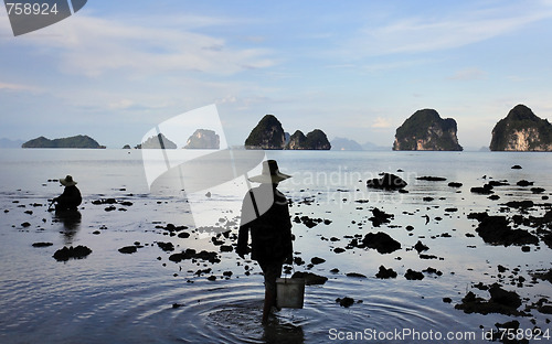 Image of Two women collecting shellfish