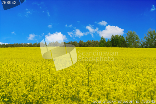 Image of spring landscape