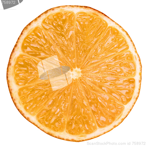 Image of Orange