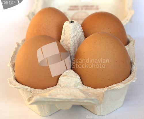 Image of Eggs