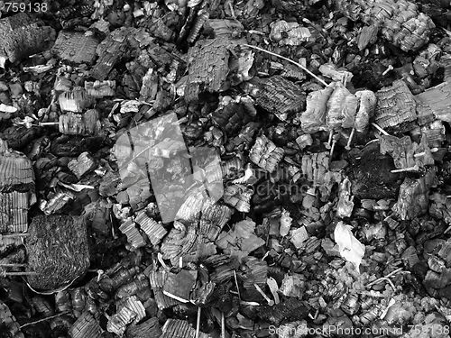 Image of Ashes