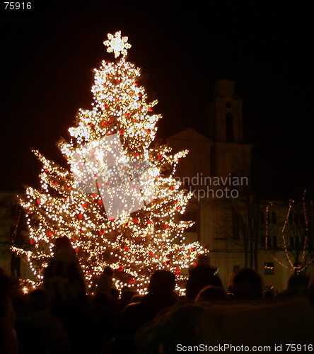 Image of Christmas Tree In Night