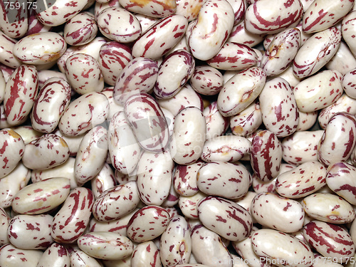 Image of Beans