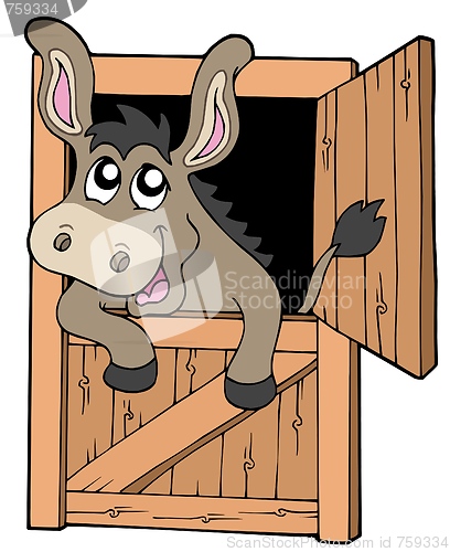 Image of Cute donkey in stable