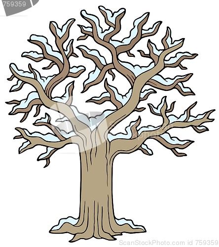 Image of Winter snowy tree